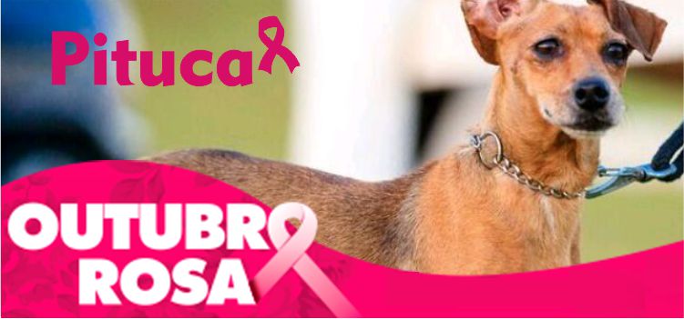 A INFORMAÇÃO É O PRIMEIRO PASSO NO CAMINHO À PREVENÇÃO DO CÂNCER DE MAMA