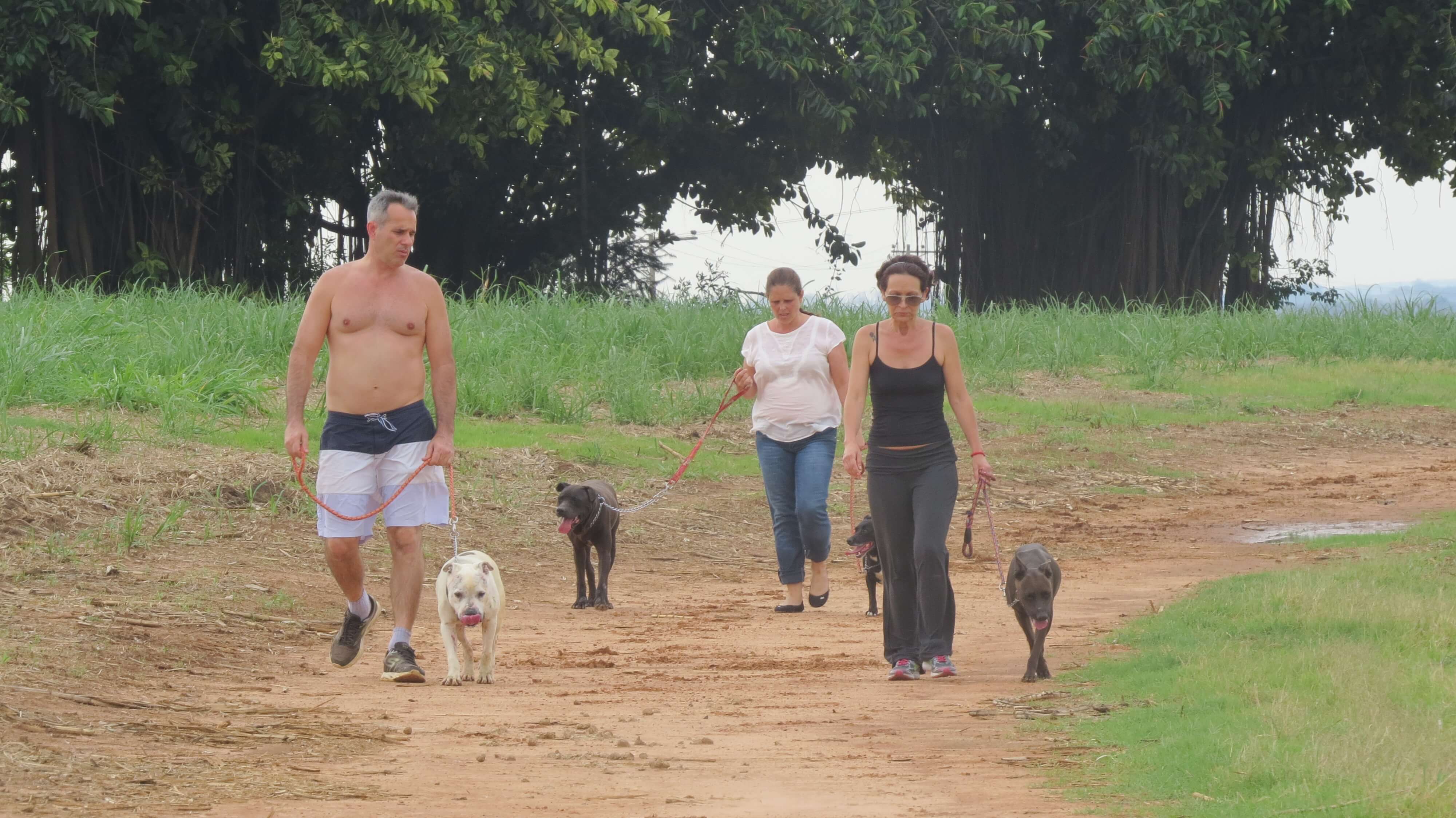 Caminhada Solidária