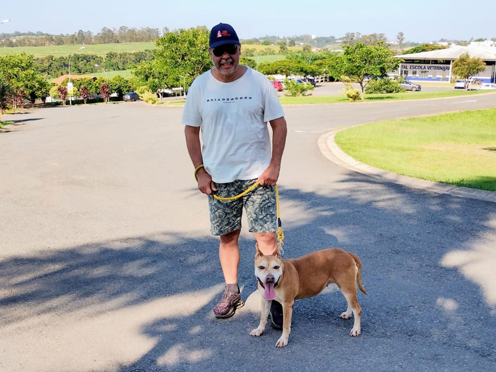 Cães para Adoção Cães para Adoção