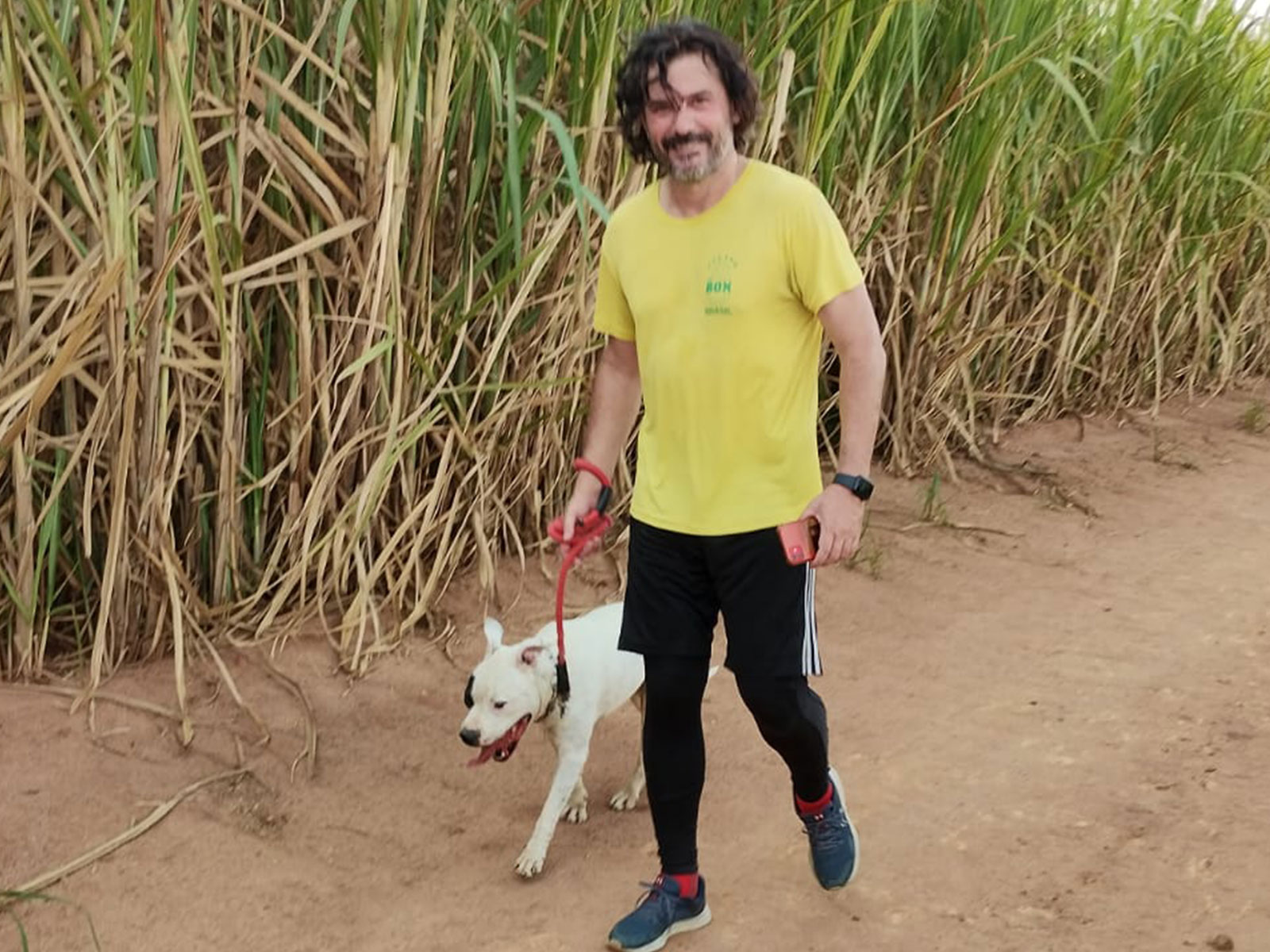Cães para Adoção Cães para Adoção